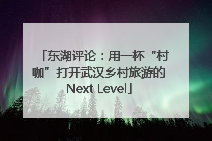 东湖评论：用一杯“村咖”打开武汉乡村旅游的Next Level