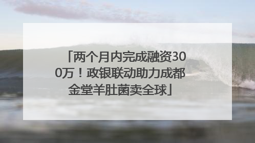两个月内完成融资300万！政银联动助力成都金堂羊肚菌卖全球