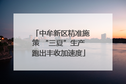 中牟新区精准施策 “三夏”生产跑出丰收加速度