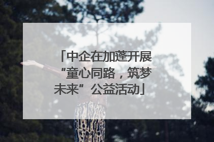 中企在加蓬开展“童心同路，筑梦未来”公益活动