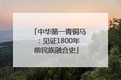 中华第一青铜马：见证1800年前民族融合史