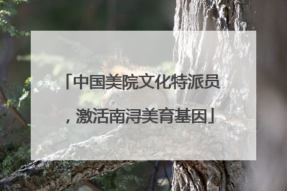 中国美院文化特派员，激活南浔美育基因
