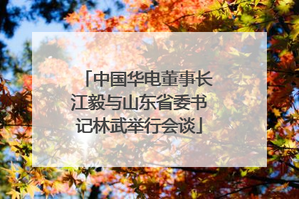 中国华电董事长江毅与山东省委书记林武举行会谈