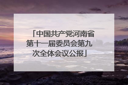 中国共产党河南省第十一届委员会第九次全体会议公报
