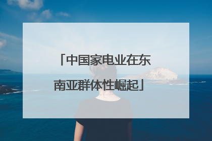 中国家电业在东南亚群体性崛起