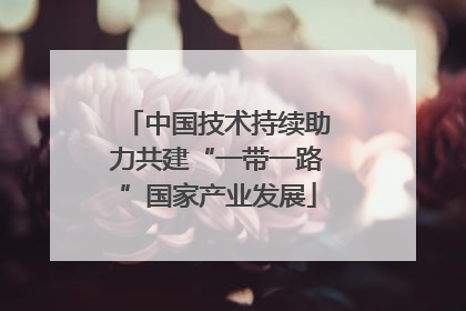 中国技术持续助力共建“一带一路”国家产业发展