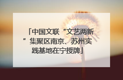 中国文联“文艺两新”集聚区南京、苏州实践基地在宁授牌