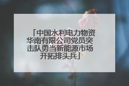 中国水利电力物资华南有限公司党员突击队勇当新能源市场开拓排头兵