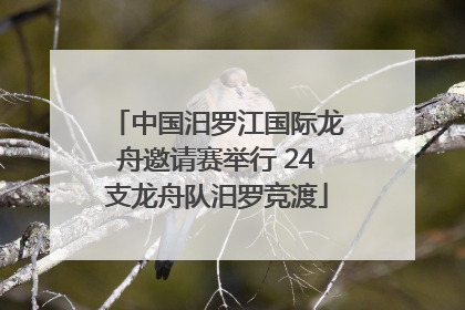 中国汨罗江国际龙舟邀请赛举行 24支龙舟队汨罗竞渡