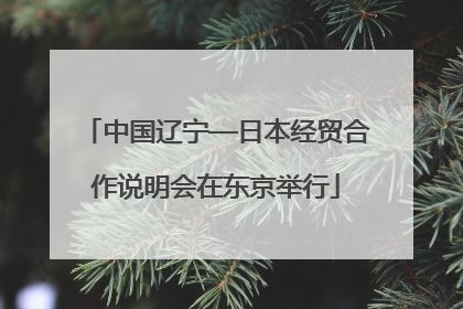 中国辽宁—日本经贸合作说明会在东京举行