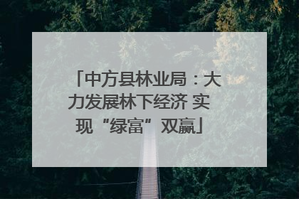 中方县林业局：大力发展林下经济 实现“绿富”双赢