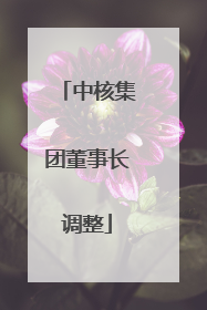 中核集团董事长调整