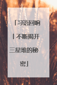 习语回响丨不断揭开三星堆的秘密