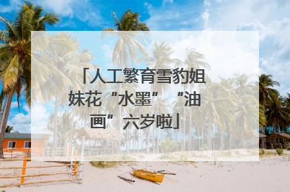 人工繁育雪豹姐妹花“水墨”“油画”六岁啦