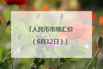 人民币市场汇价（6月12日）
