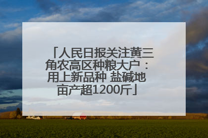 人民日报关注黄三角农高区种粮大户：用上新品种 盐碱地亩产超1200斤