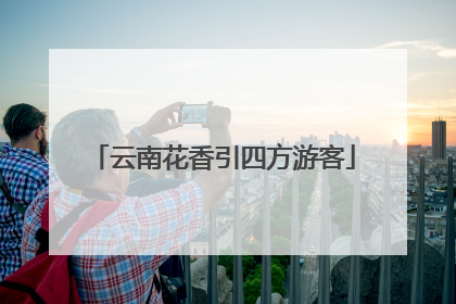 云南花香引四方游客