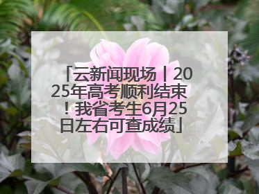 云新闻现场丨2025年高考顺利结束！我省考生6月25日左右可查成绩