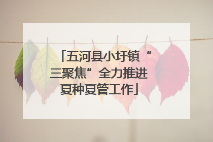 五河县小圩镇“三聚焦”全力推进夏种夏管工作