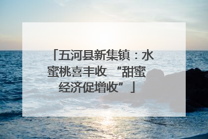 五河县新集镇：水蜜桃喜丰收 “甜蜜经济促增收”
