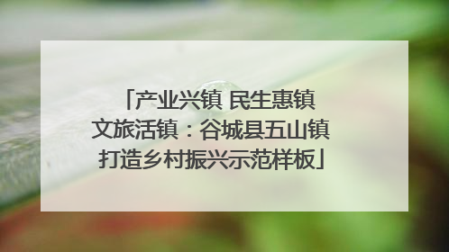 产业兴镇 民生惠镇 文旅活镇：谷城县五山镇打造乡村振兴示范样板