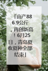 亩产886.9公斤，再创新高！6月25日，青岛夏收夏种全部结束