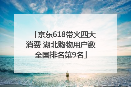 京东618带火四大消费 湖北购物用户数全国排名第9名