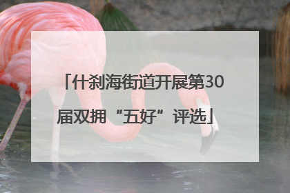 什刹海街道开展第30届双拥“五好”评选