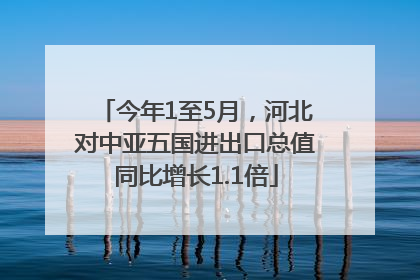 今年1至5月，河北对中亚五国进出口总值同比增长1.1倍