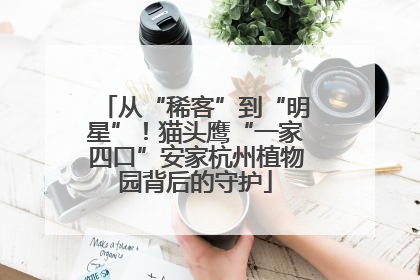 从“稀客”到“明星”！猫头鹰“一家四口”安家杭州植物园背后的守护