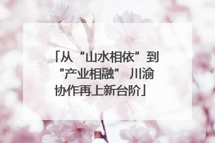 从“山水相依”到“产业相融” 川渝协作再上新台阶