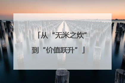 从“无米之炊”到“价值跃升”