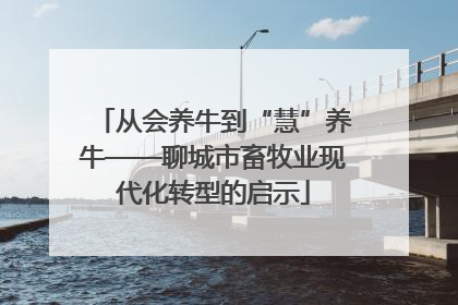 从会养牛到“慧”养牛——聊城市畜牧业现代化转型的启示