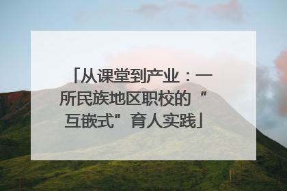 从课堂到产业：一所民族地区职校的“互嵌式”育人实践