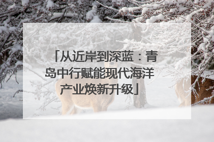从近岸到深蓝：青岛中行赋能现代海洋产业焕新升级