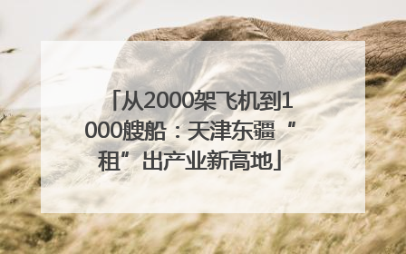 从2000架飞机到1000艘船：天津东疆“租”出产业新高地