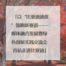 以“比亚迪速度”领跑新赛道——媒体融合发展暨绿色创新实践交流会首站走进比亚迪