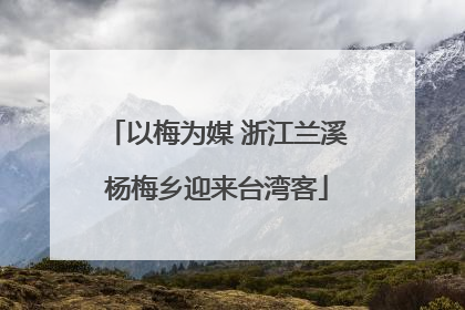 以梅为媒 浙江兰溪杨梅乡迎来台湾客