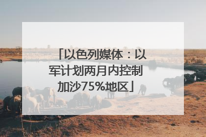 以色列媒体：以军计划两月内控制加沙75%地区