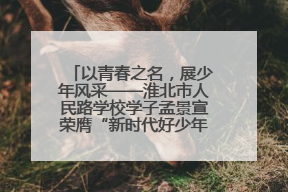 以青春之名，展少年风采——淮北市人民路学校学子孟景宣荣膺“新时代好少年”荣誉称号