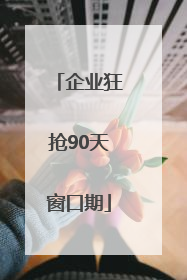 企业狂抢90天窗口期