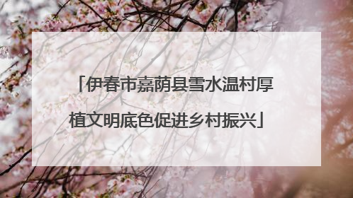 伊春市嘉荫县雪水温村厚植文明底色促进乡村振兴