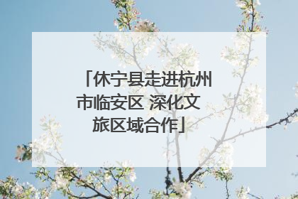 休宁县走进杭州市临安区 深化文旅区域合作