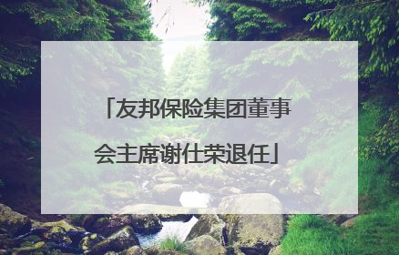 友邦保险集团董事会主席谢仕荣退任