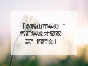 双鸭山市举办“智汇煤城·才聚双赢”招聘会