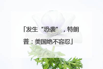 发生“恐袭”，特朗普：美国绝不容忍