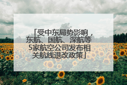 受中东局势影响，东航、国航、深航等5家航空公司发布相关航线退改政策