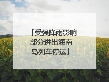 受强降雨影响 部分进出海南岛列车停运