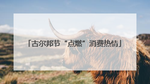 古尔邦节“点燃”消费热情