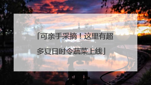 可亲手采摘！这里有超多夏日时令蔬菜上线